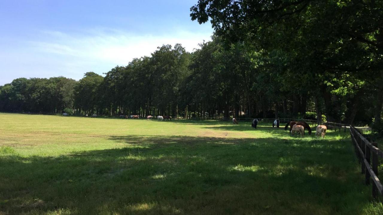 Boerderij De Enkhoeve Laag-Soeren エクステリア 写真