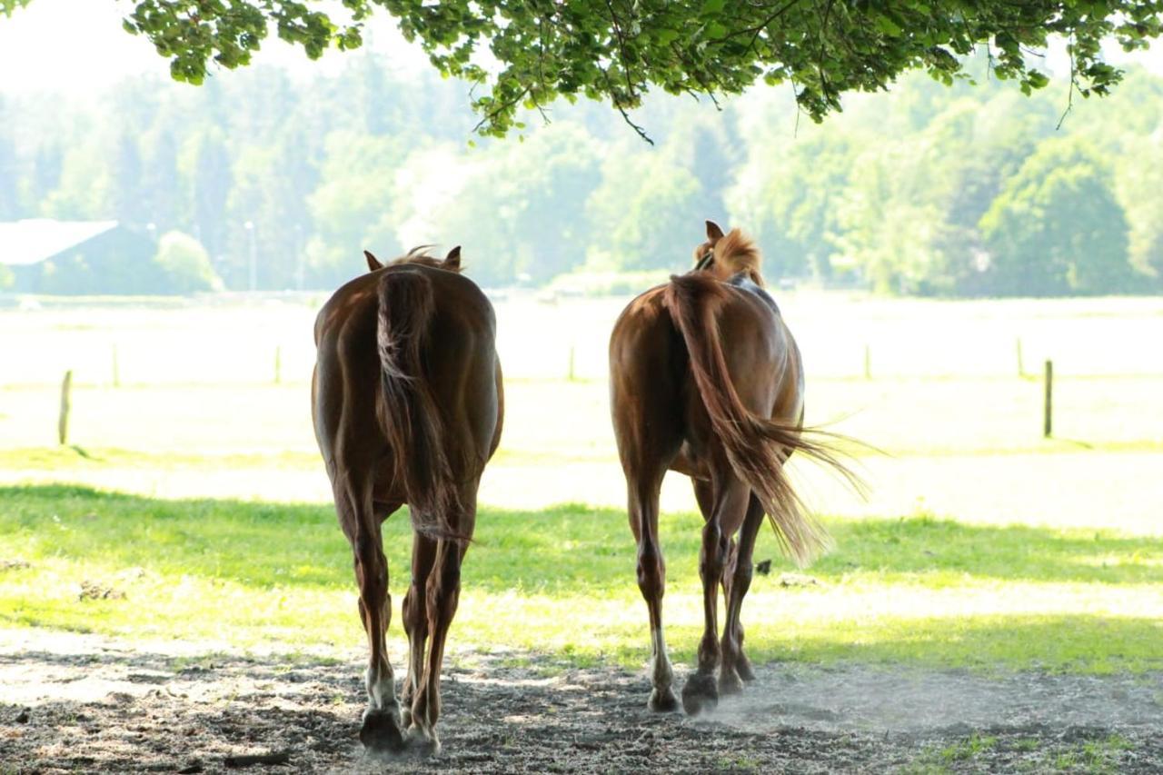 Boerderij De Enkhoeve Laag-Soeren エクステリア 写真
