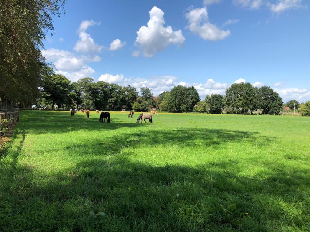 Boerderij De Enkhoeve Laag-Soeren エクステリア 写真